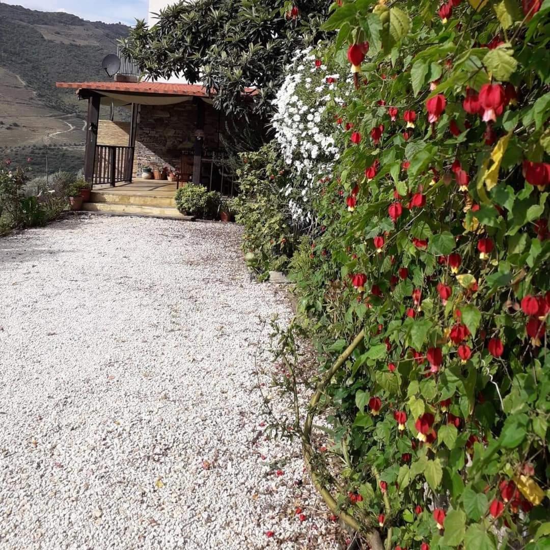 Tomas Barqueiro Otel Folgosa  Dış mekan fotoğraf